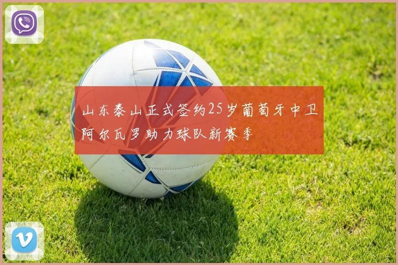 山东泰山正式签约25岁葡萄牙中卫阿尔瓦罗助力球队新赛季